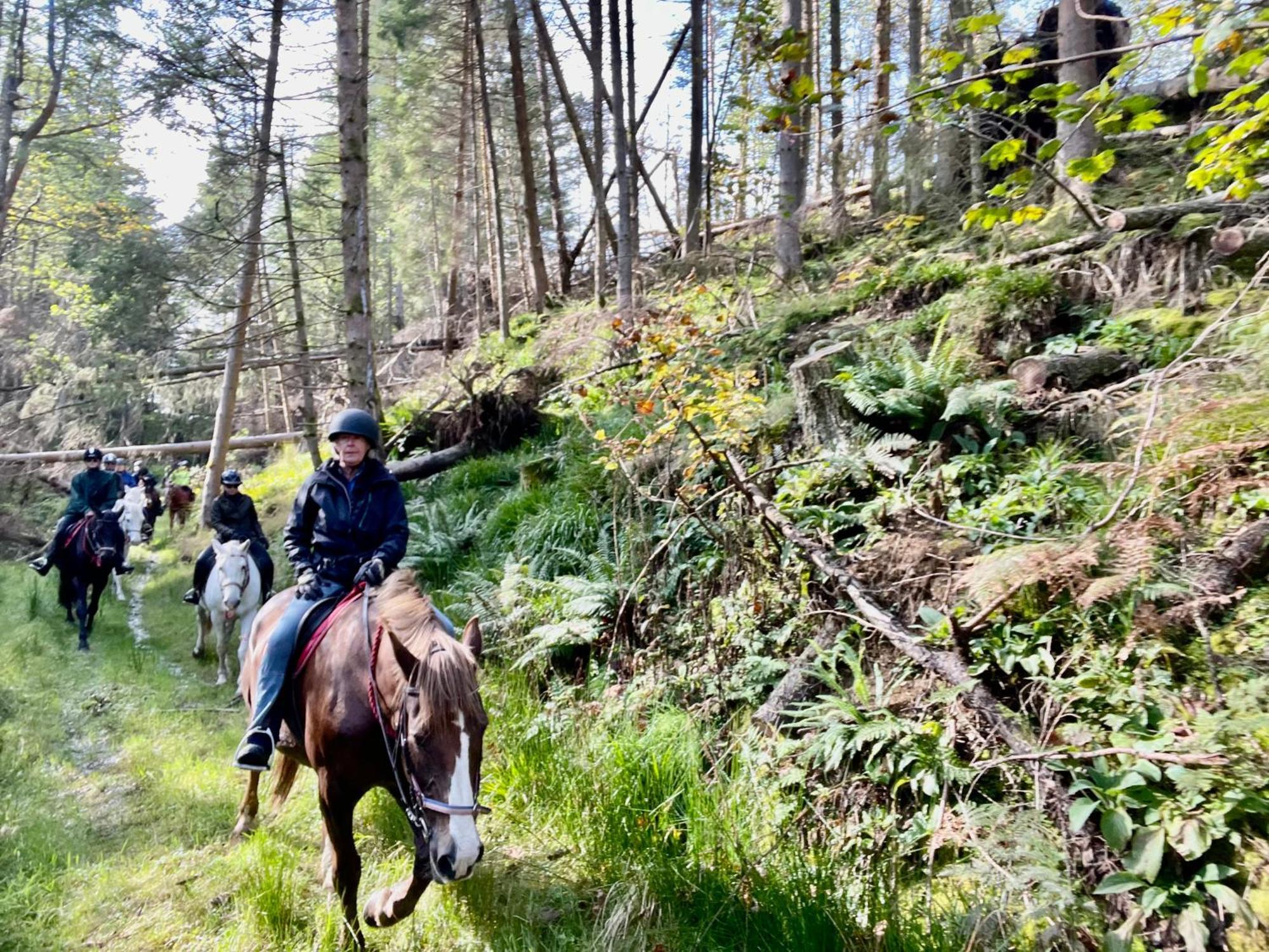 Scottish Equi B&B Lanark Luaran gambar
